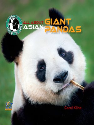 cover image of All About Asian Giant Pandas